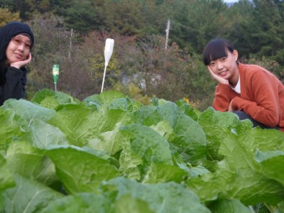 우리밭,,