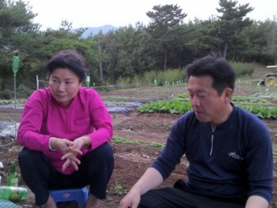 23일 마당쇠마을 주말농장 풍경사진