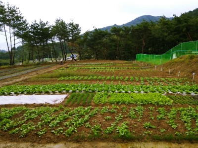 9월24일 초록농원