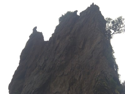 울릉도5