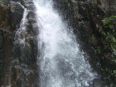 민노당 단합산행6