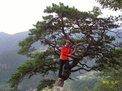 단합산행1