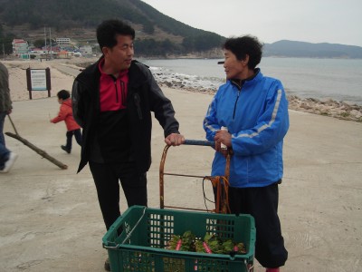비진도 산행