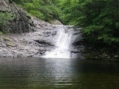 동대산
