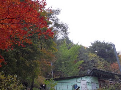 치악산단풍