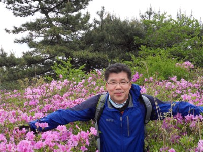 보성 녹차밭