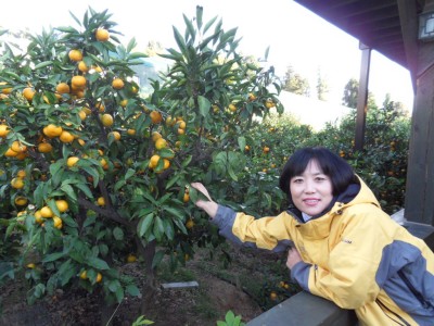 제주